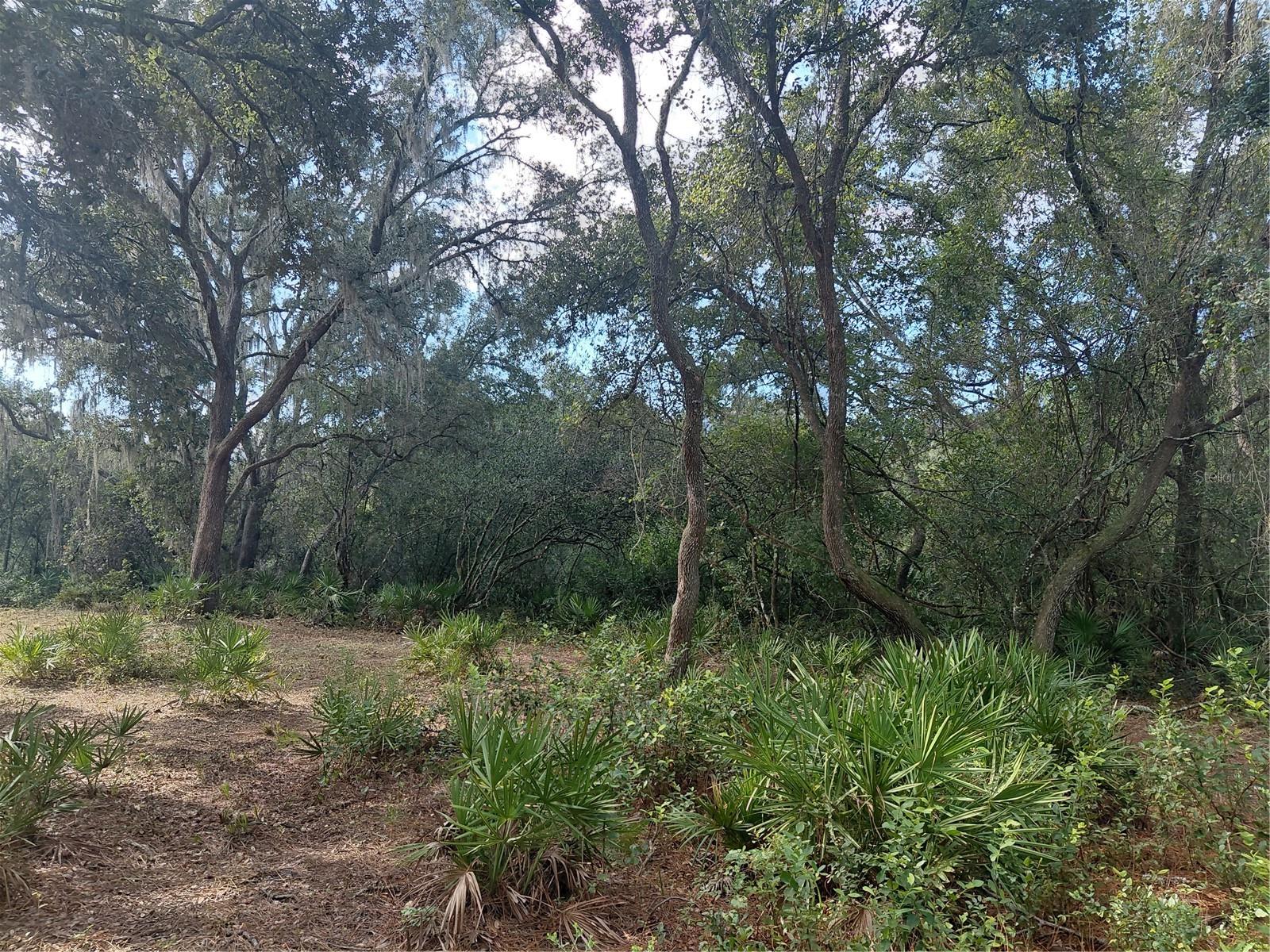 Grindstone Dr Property Photo 12