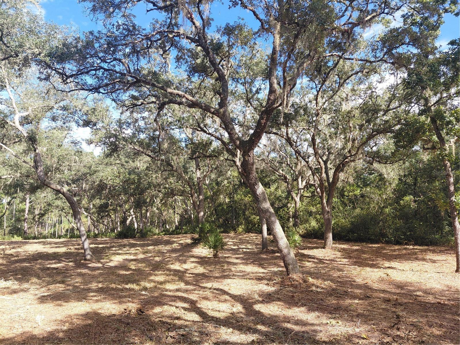 Grindstone Dr Property Photo 15