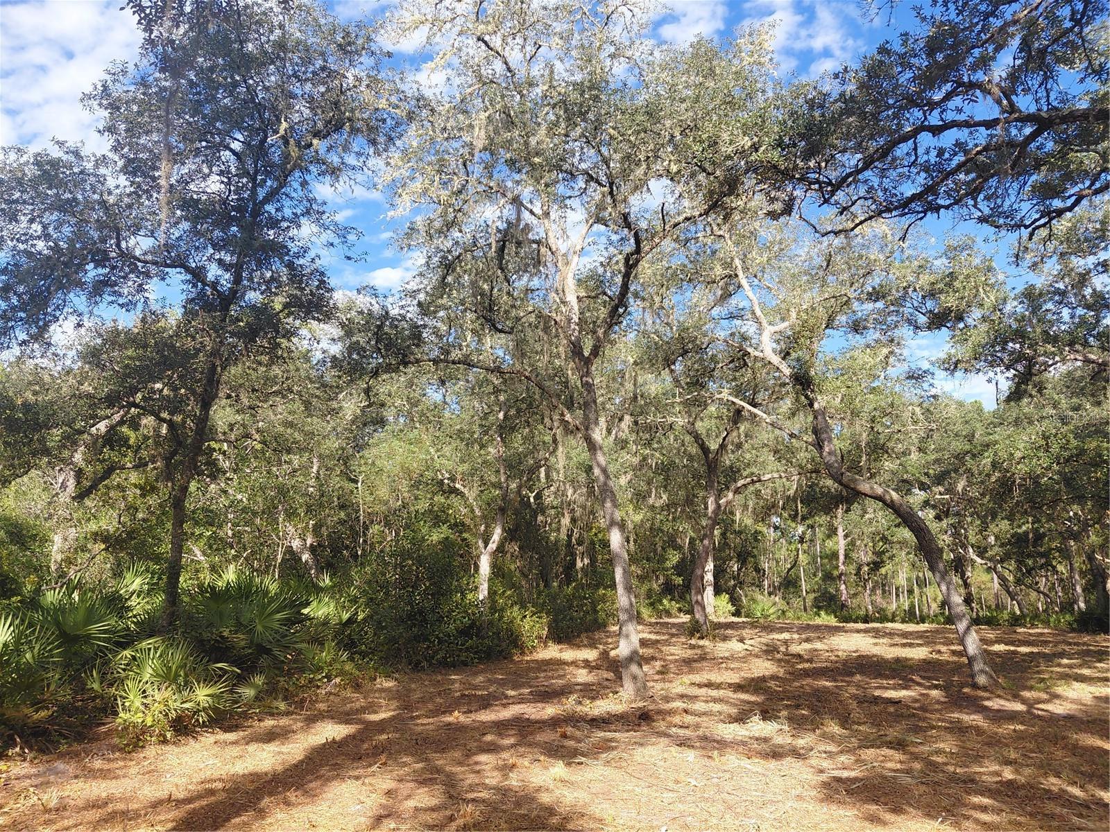 Grindstone Dr Property Photo 16