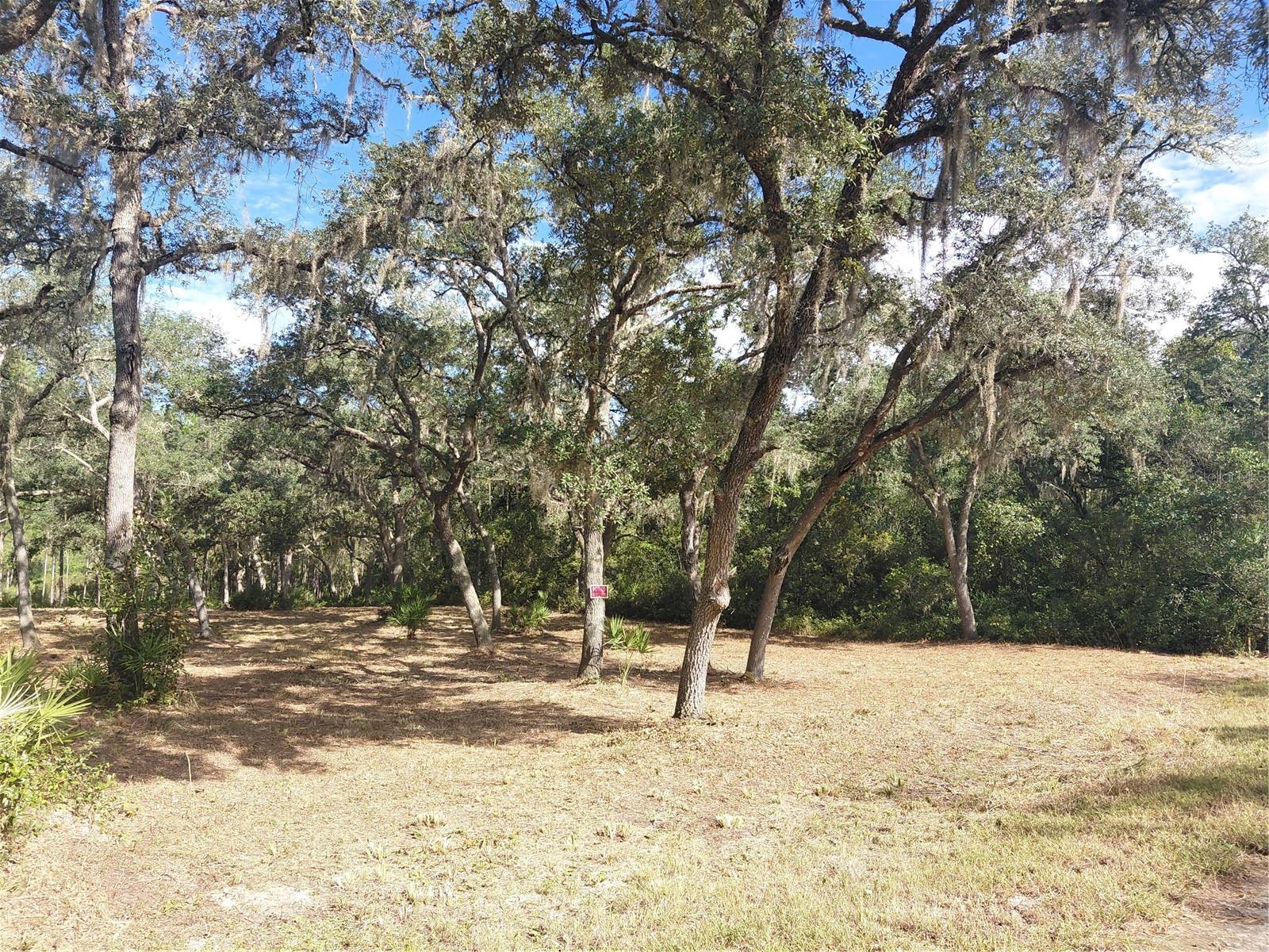 Grindstone Dr Property Photo 17