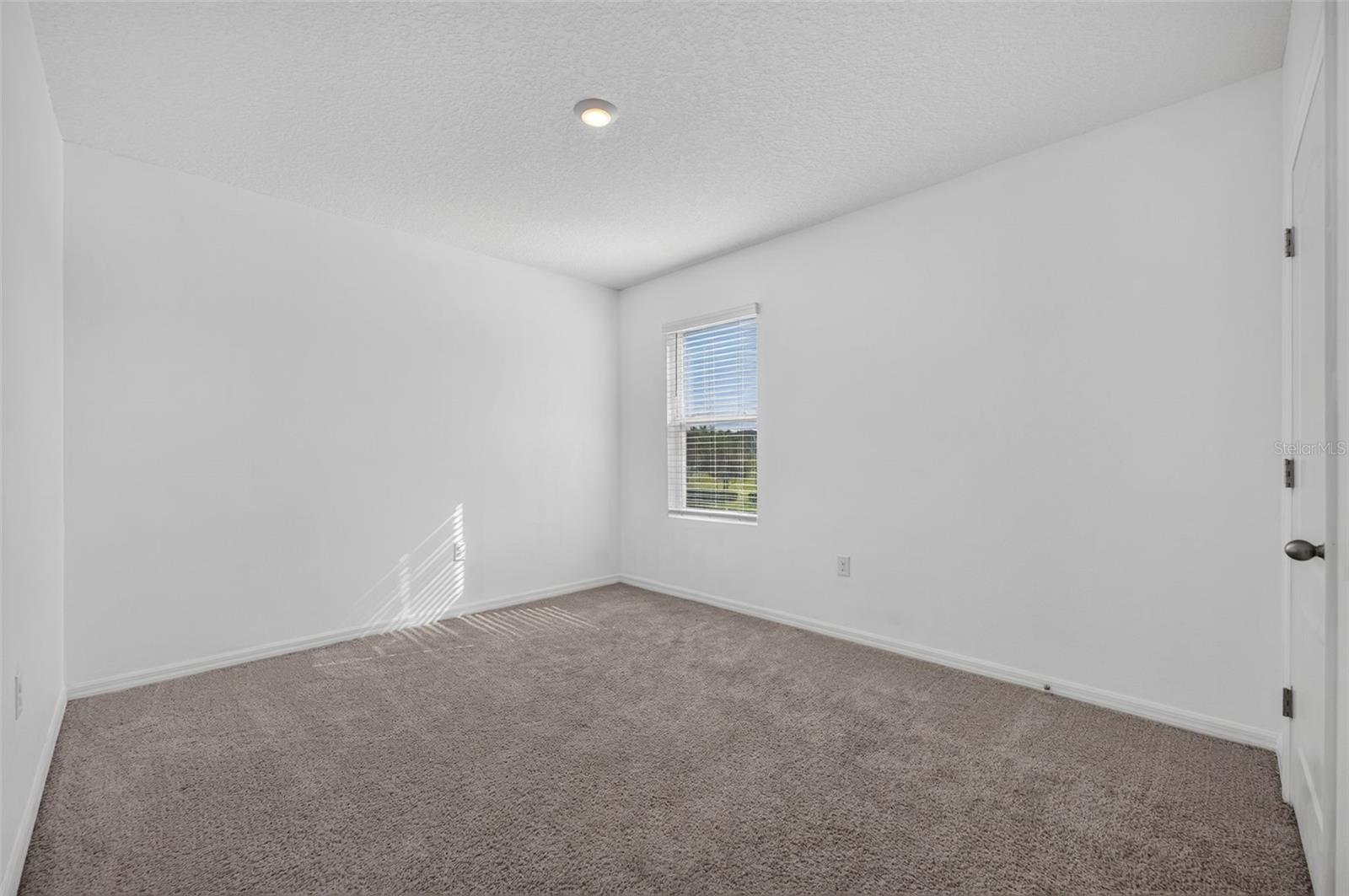 3042 Bethpage Loop Property Photo 29