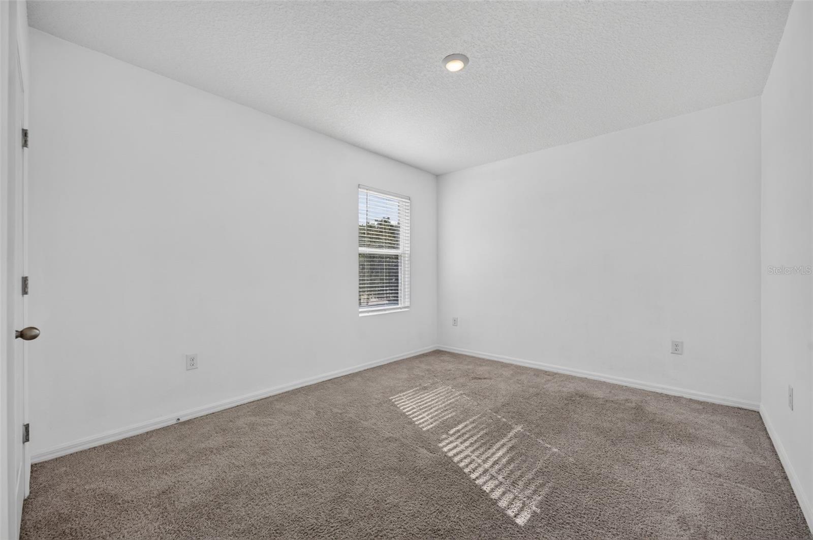 3042 Bethpage Loop Property Photo 31