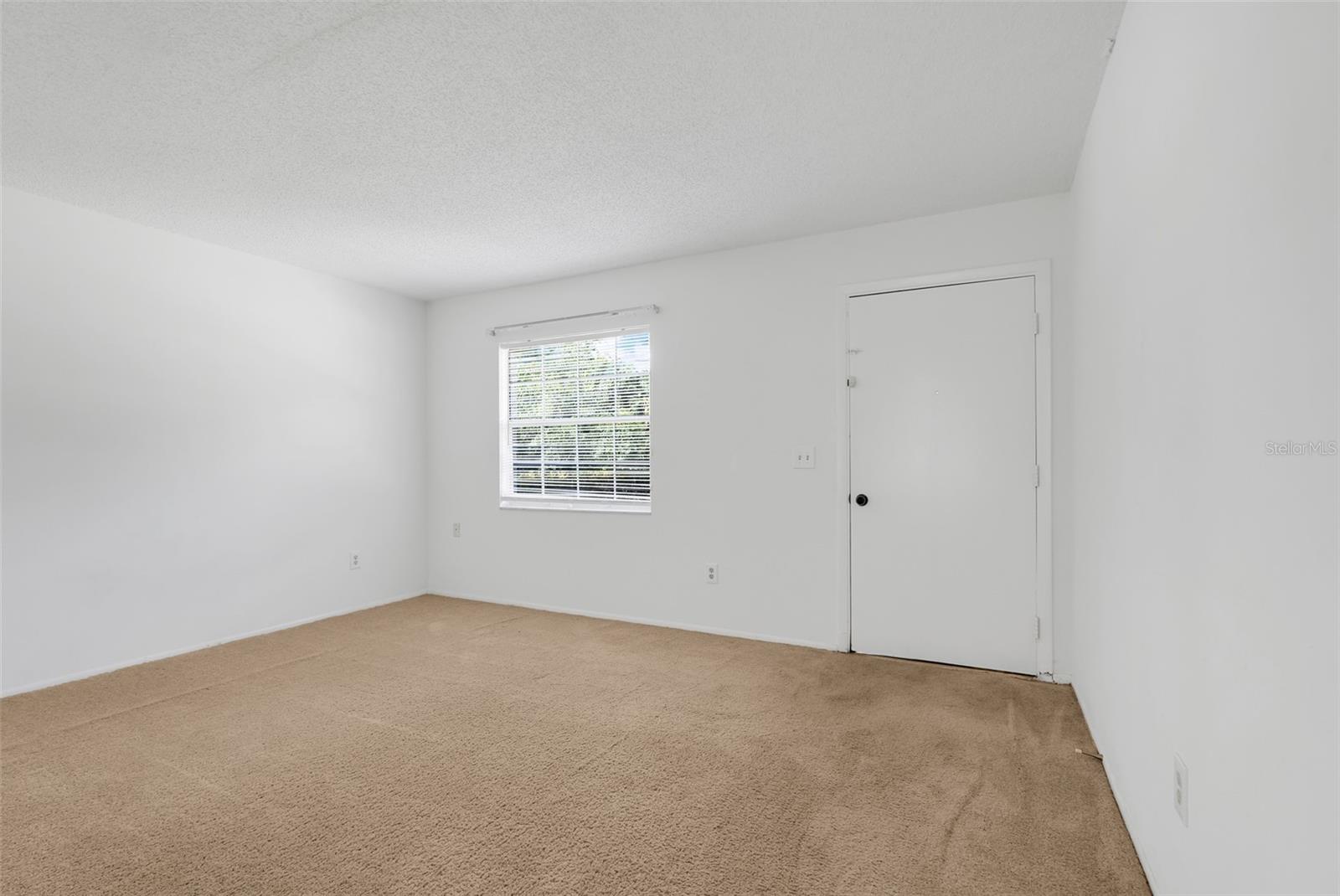 306 Loch Low Dr Property Photo 5