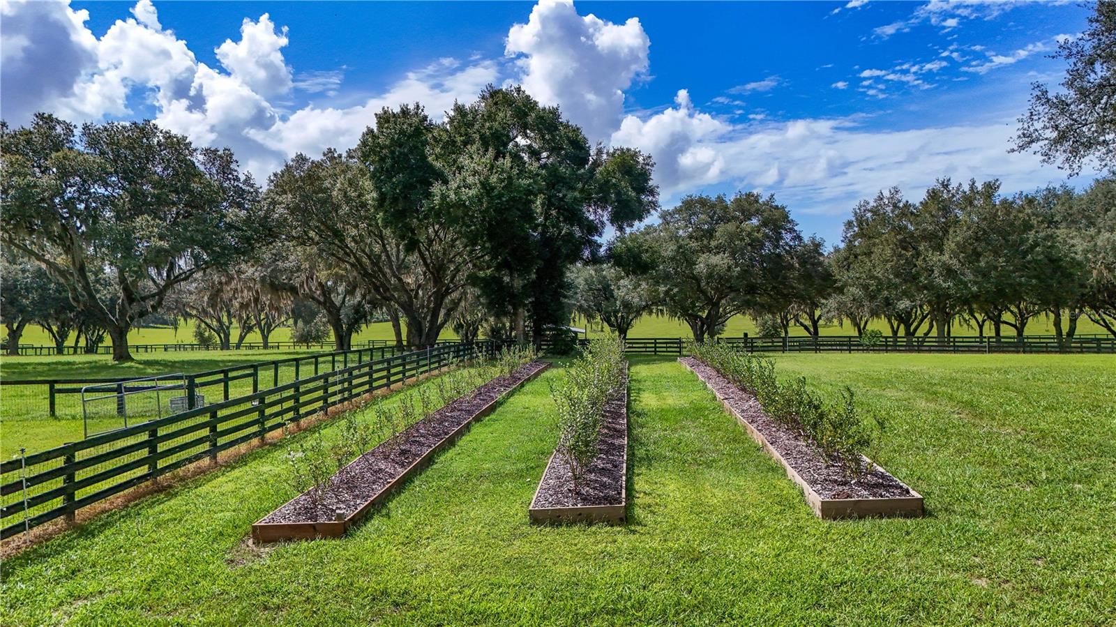 38224 Journey Ln Property Photo 81