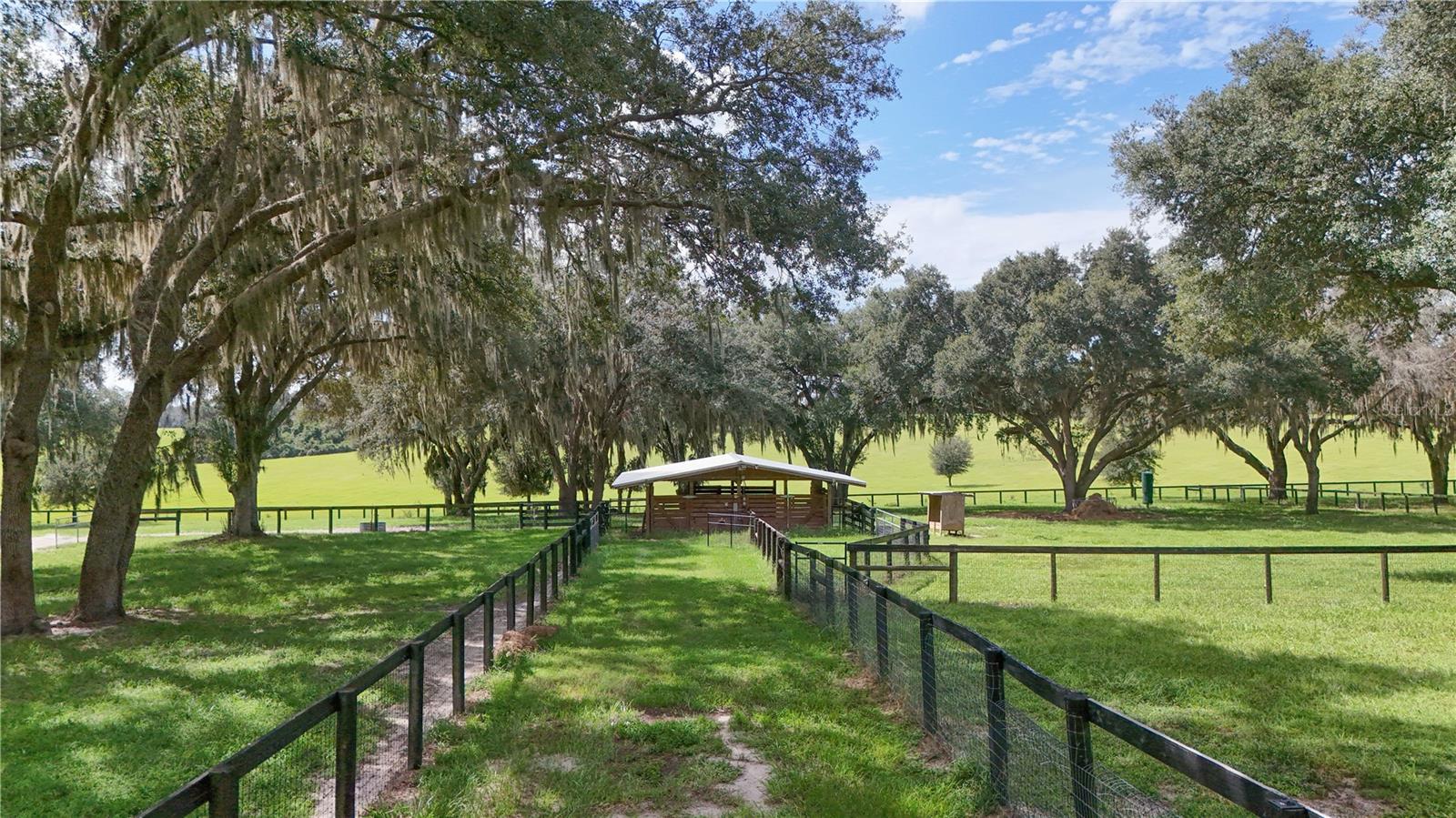 38224 Journey Ln Property Photo 82