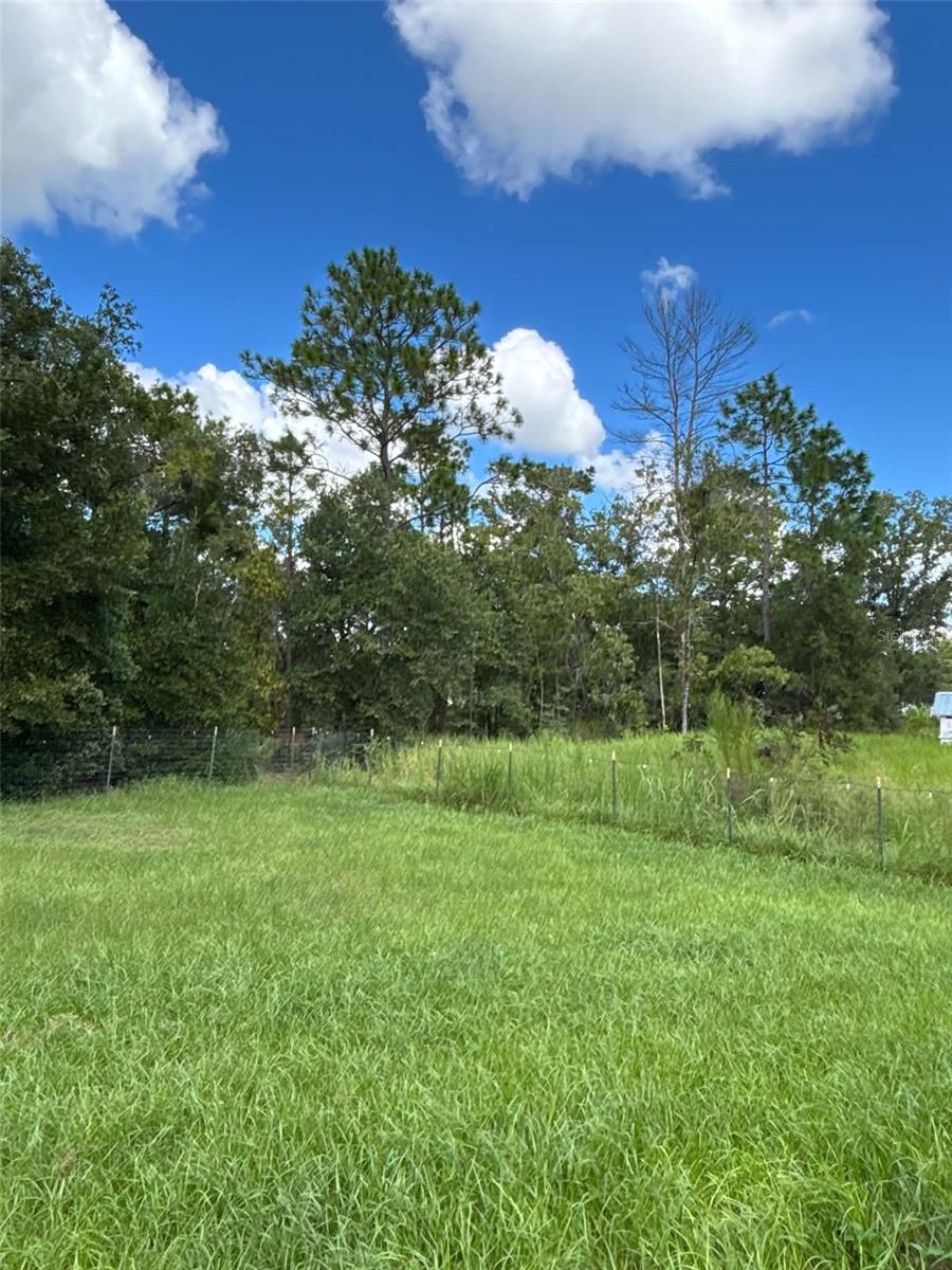 13 Locust Loop Property Photo 19