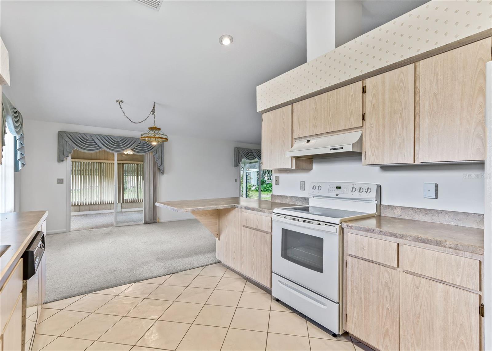 1032 Scotch Pine Ct Property Photo 17