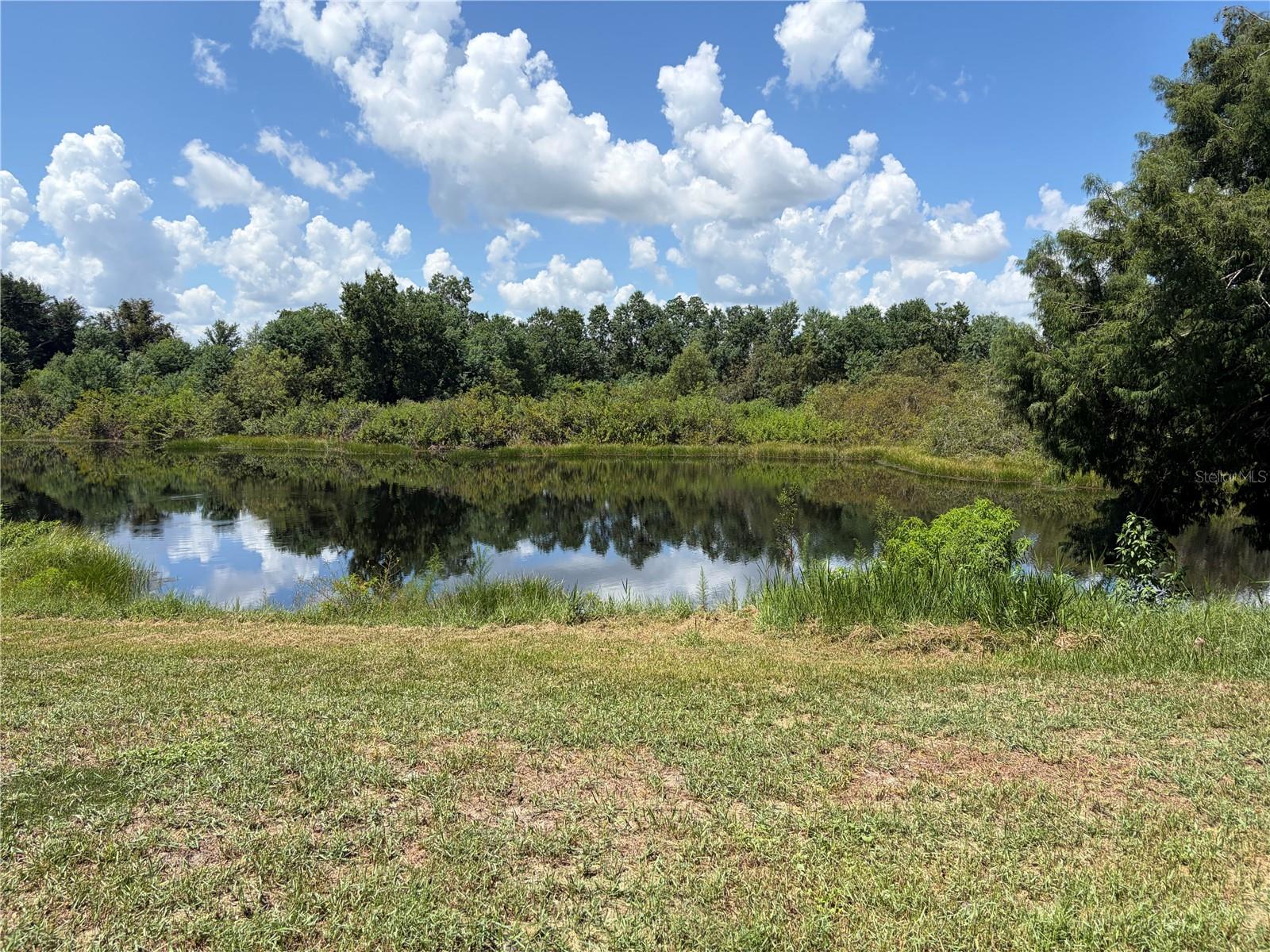 34205 Radio Rd Property Photo 2