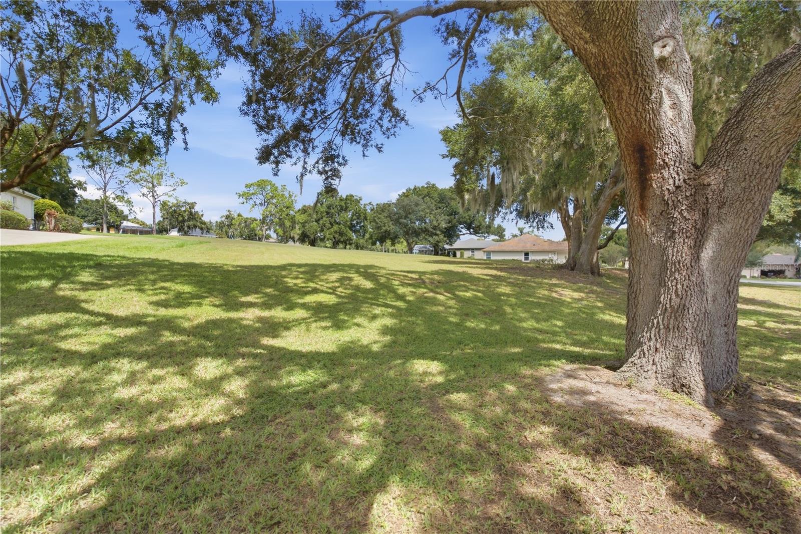 Tbd Griffin Landing Property Photo 4