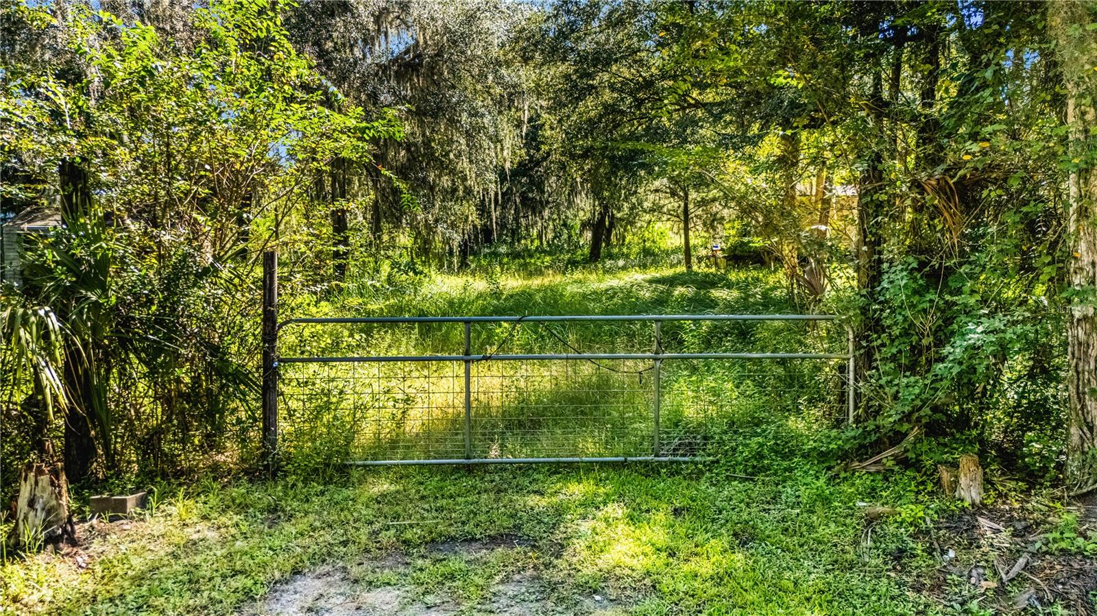 1707 Kimmie Kay Dr Property Photo 2