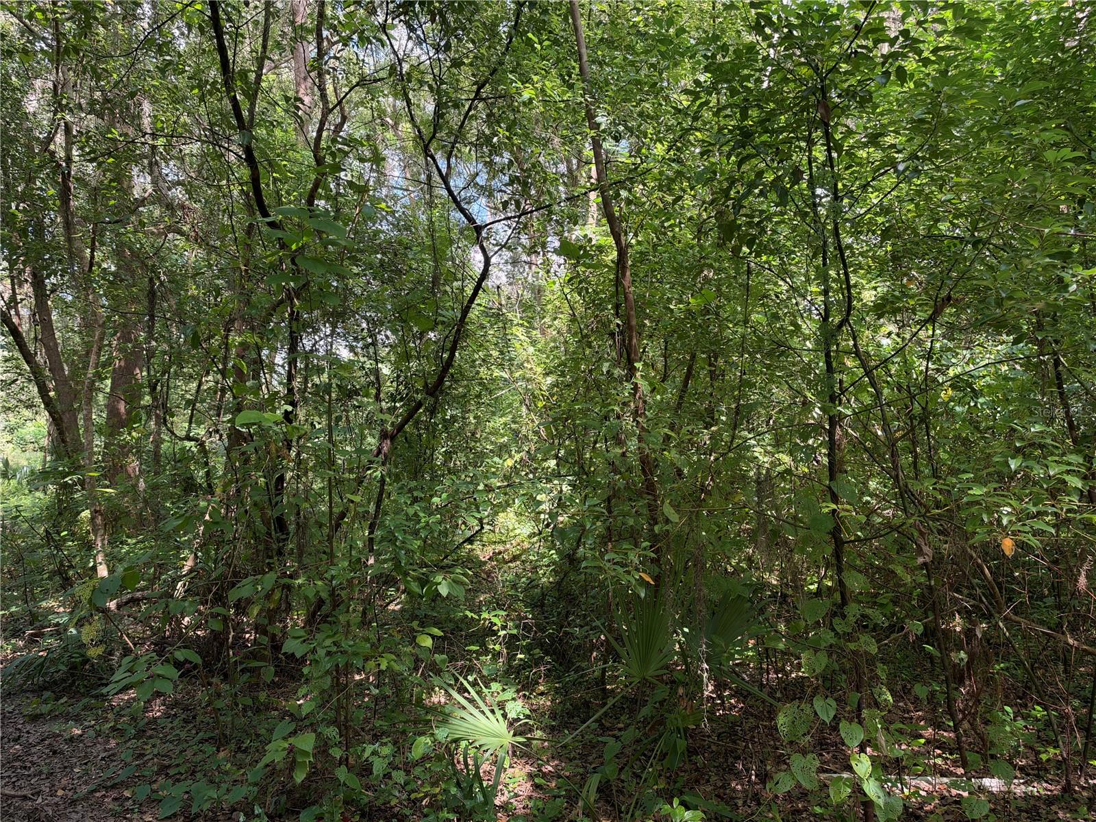 0 Se 118th Pl Property Photo 1