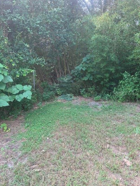 105 Isabel St Property Photo 8