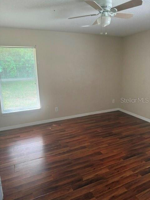 105 Isabel St Property Photo 21