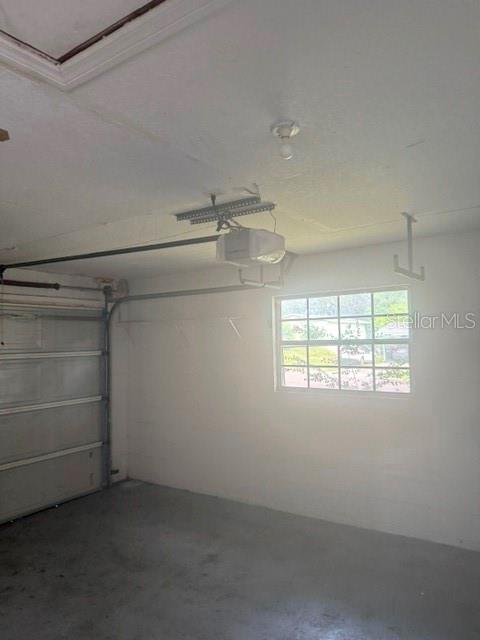 105 Isabel St Property Photo 40