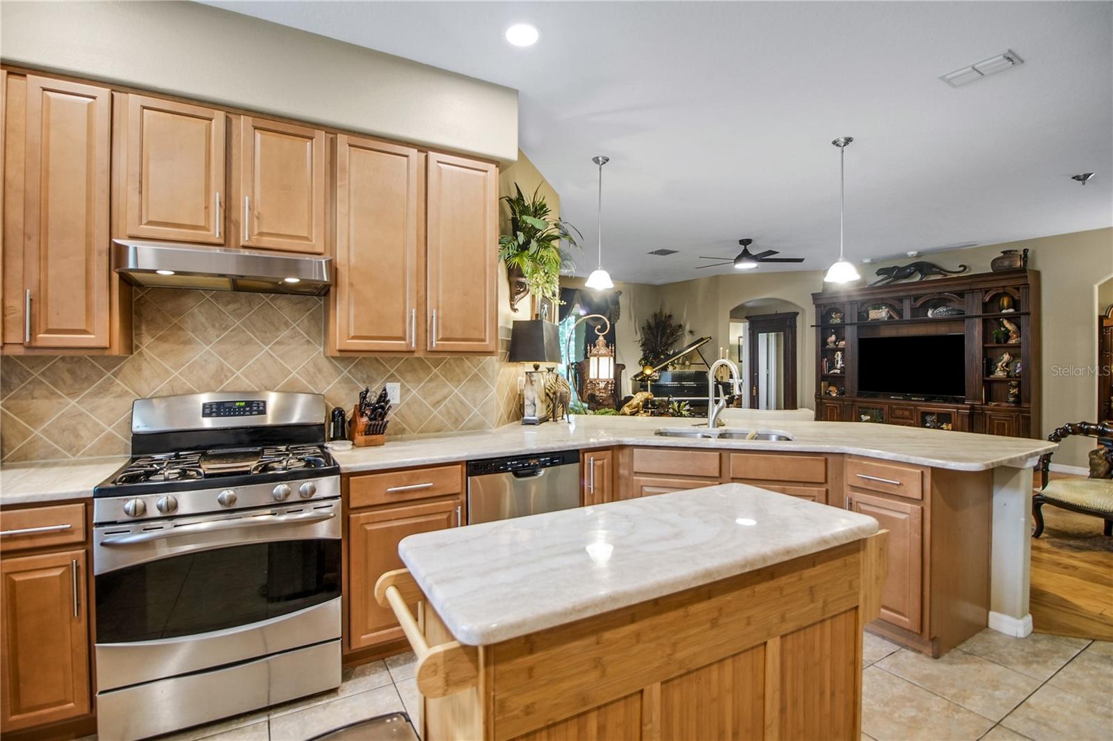 4513 Antietam Creek Trl Property Photo 17