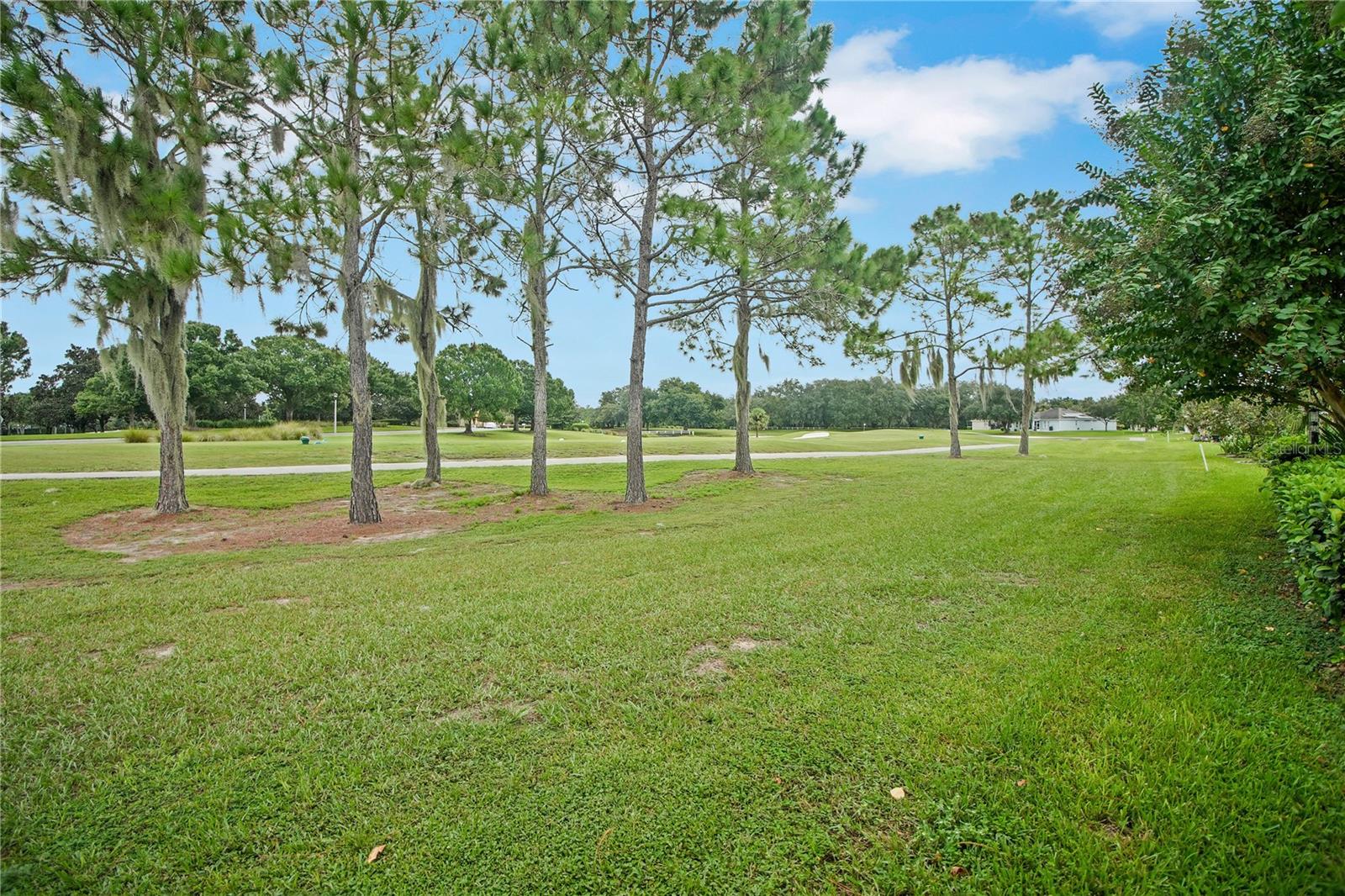 4513 Antietam Creek Trl Property Photo 52