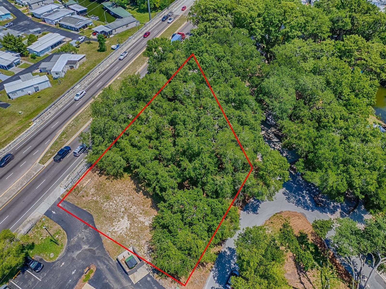 LION LN Property Photo 1