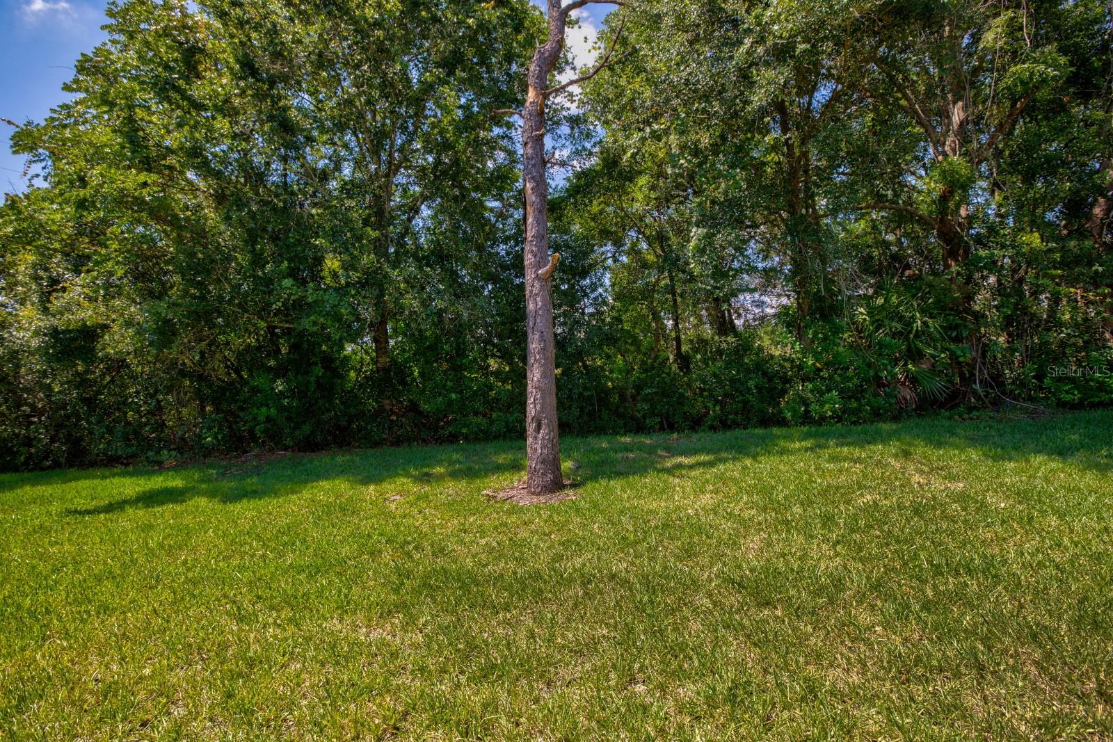 3005 Andover Ct Property Photo 21