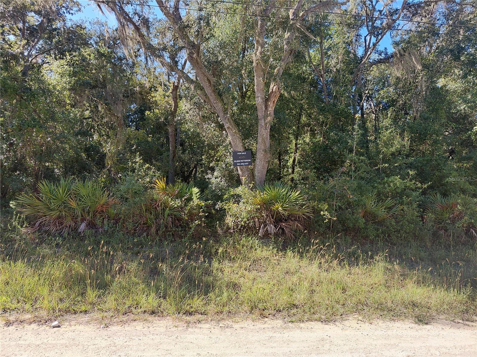 Butternut Dr Property Photo 4