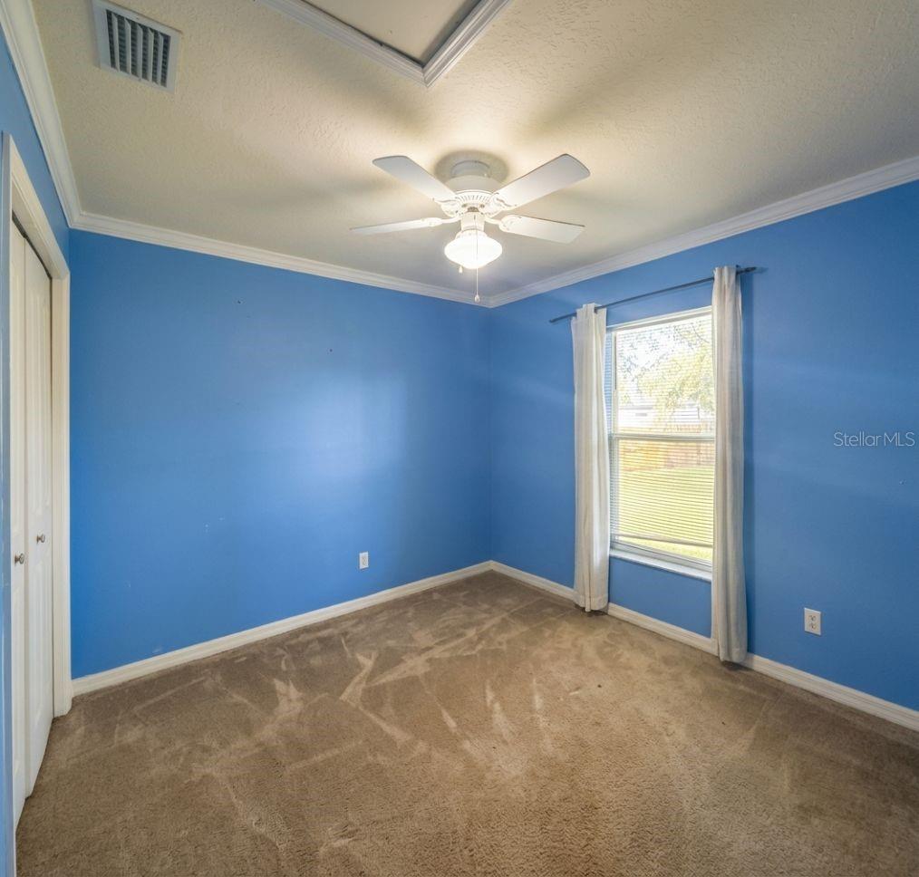 4 Pine Radial Trl Property Photo 11