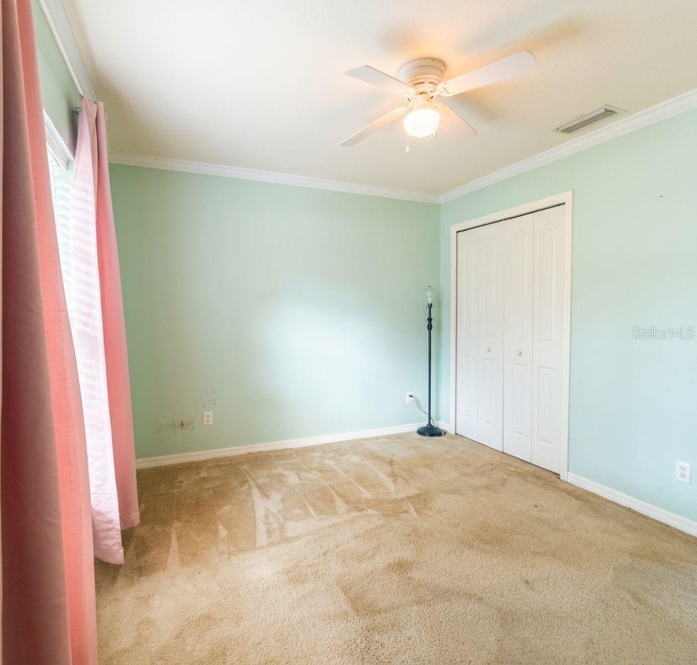 4 Pine Radial Trl Property Photo 12