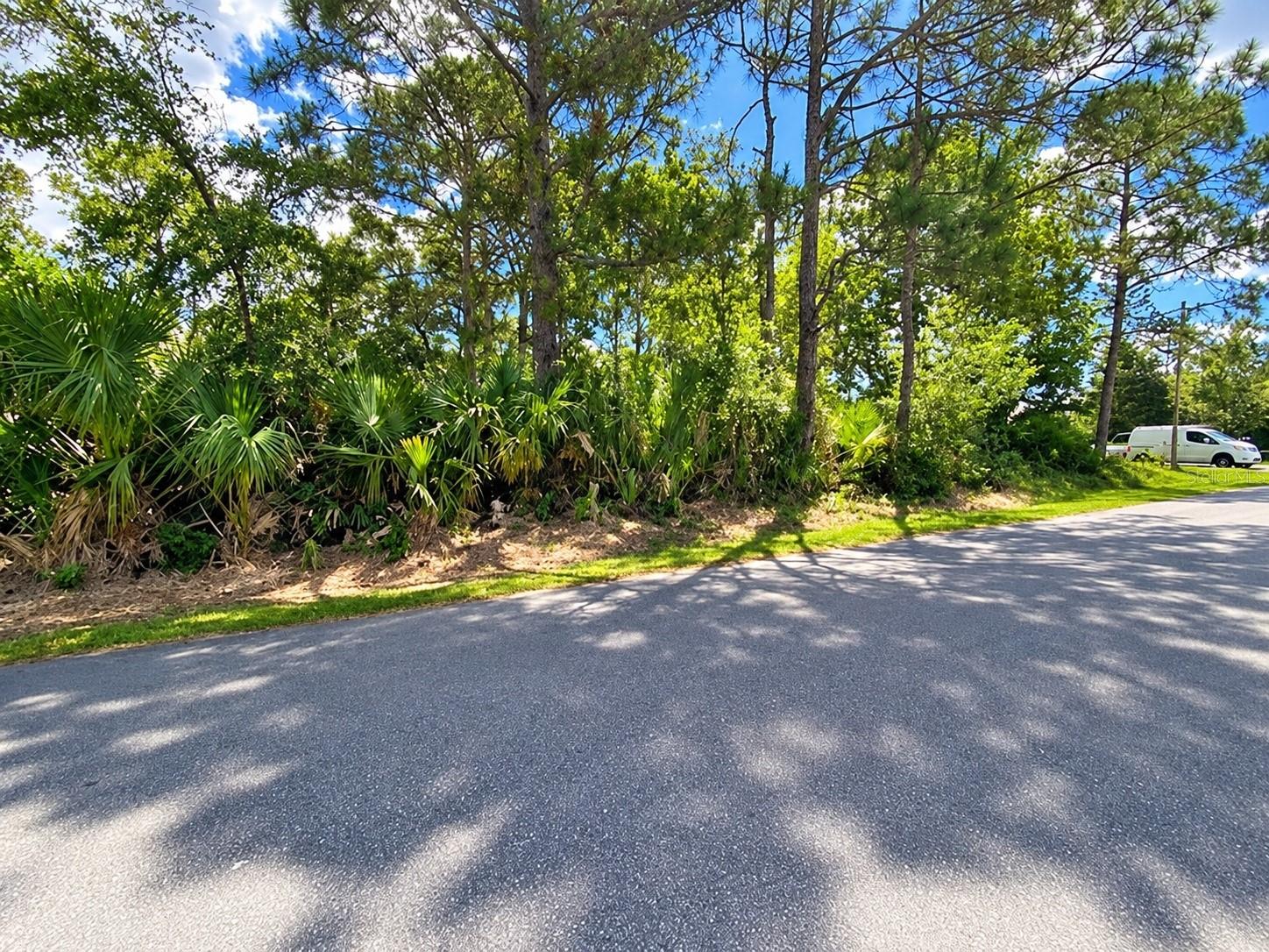 7728 Wynn St Property Photo 2