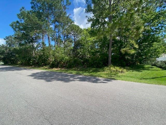 7728 Wynn St Property Photo 3