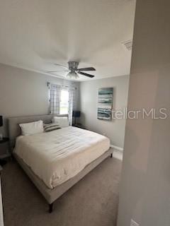 3629 Maidencain St Property Photo 12