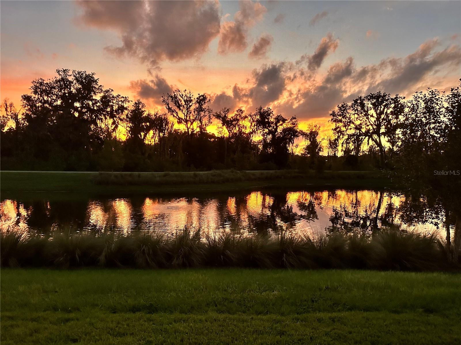 4398 Pezzullo Cir Property Photo 4