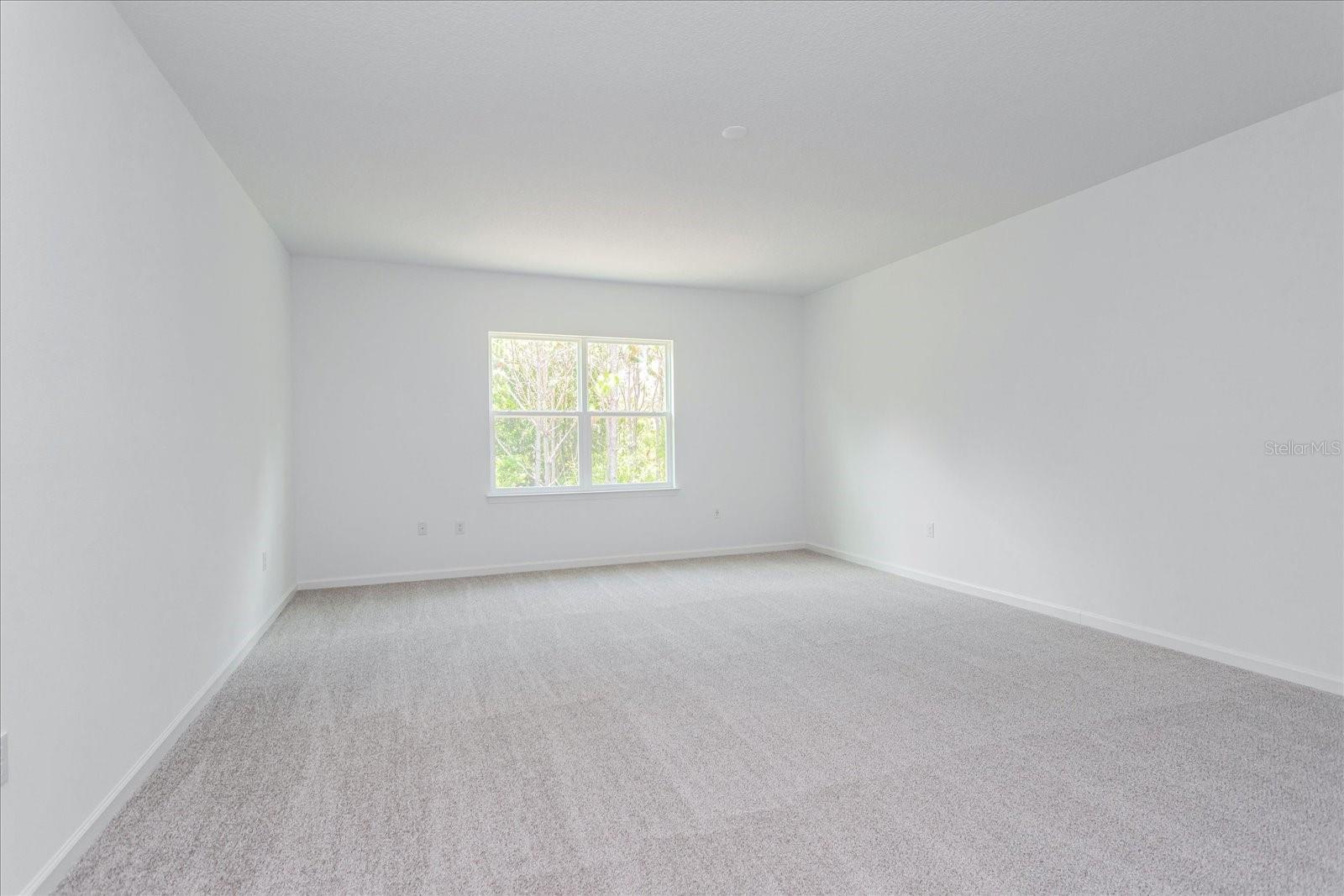 17332 Wild Daisy Dr Property Photo 11