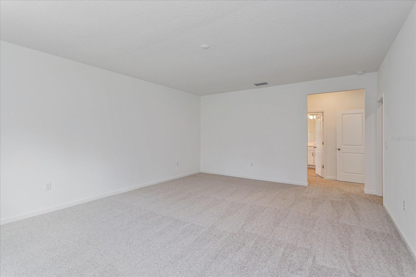 17332 Wild Daisy Dr Property Photo 12