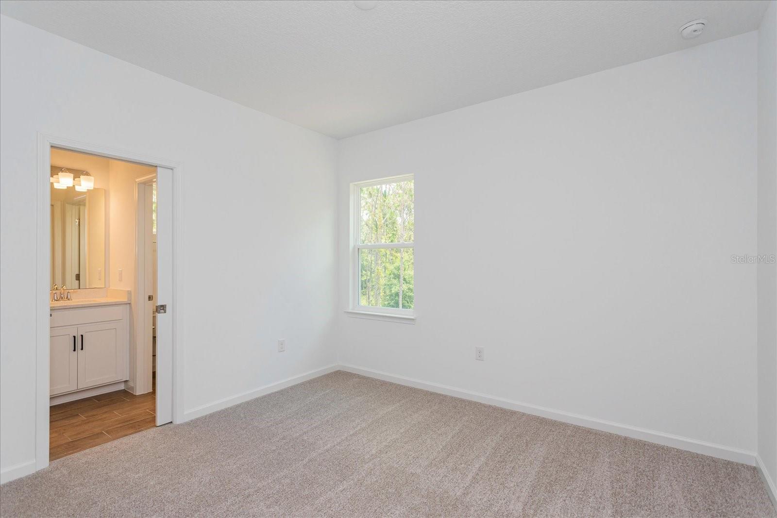17332 Wild Daisy Dr Property Photo 16