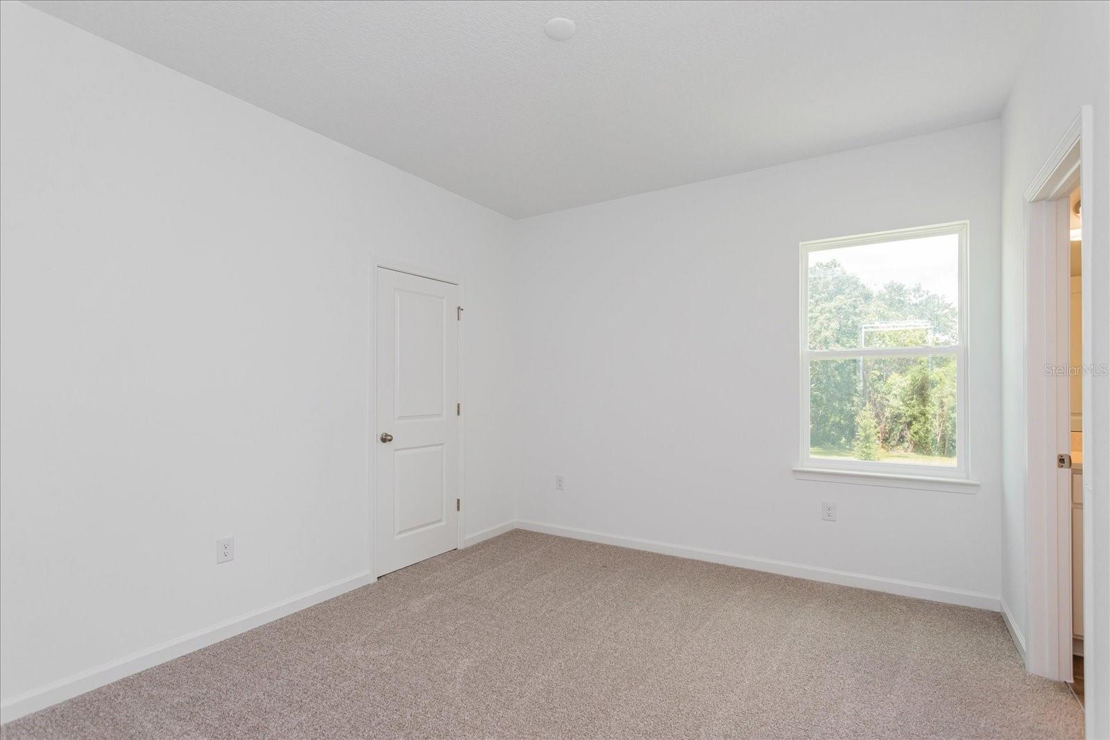 17332 Wild Daisy Dr Property Photo 17