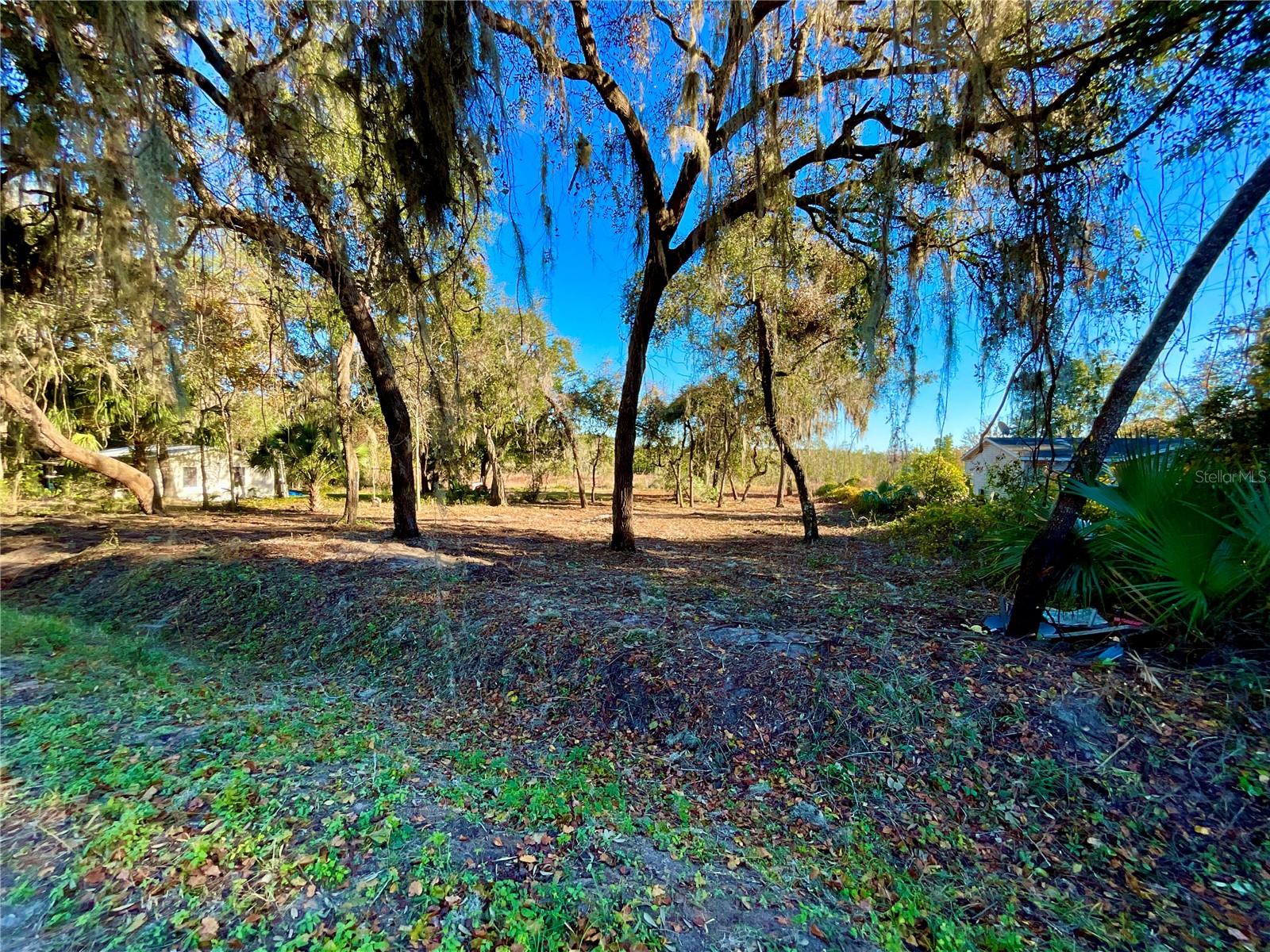 Lot 66 & Lot 67 Ashley St Property Photo 2