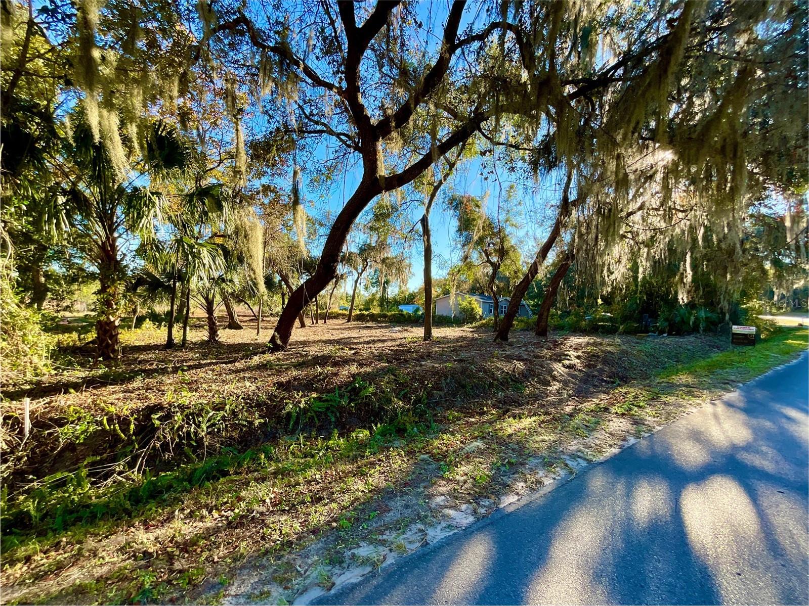 Lot 66 & Lot 67 Ashley St Property Photo 3