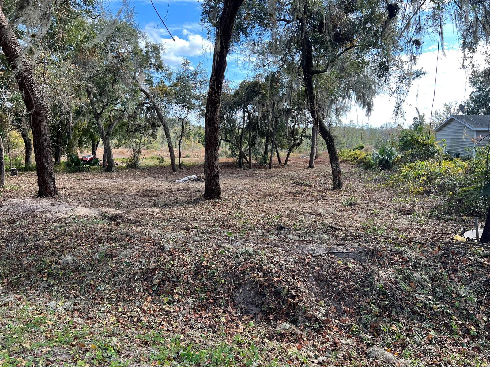 Lot 66 & Lot 67 Ashley St Property Photo 8