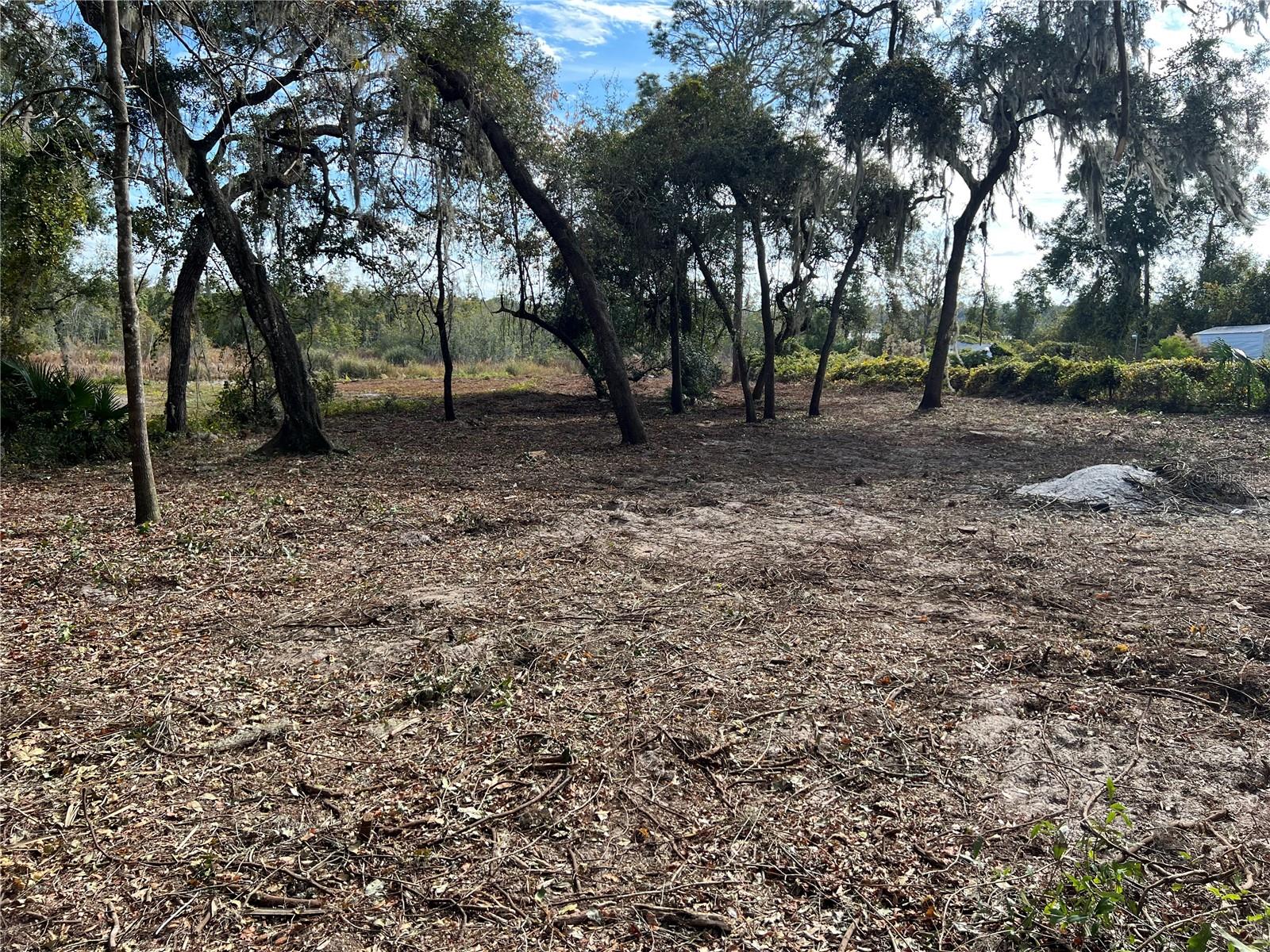 Lot 66 & Lot 67 Ashley St Property Photo 9