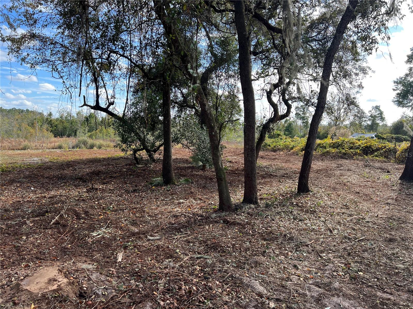 Lot 66 & Lot 67 Ashley St Property Photo 10