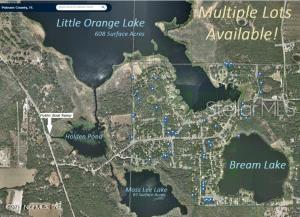 Lot 66 & Lot 67 Ashley St Property Photo 19