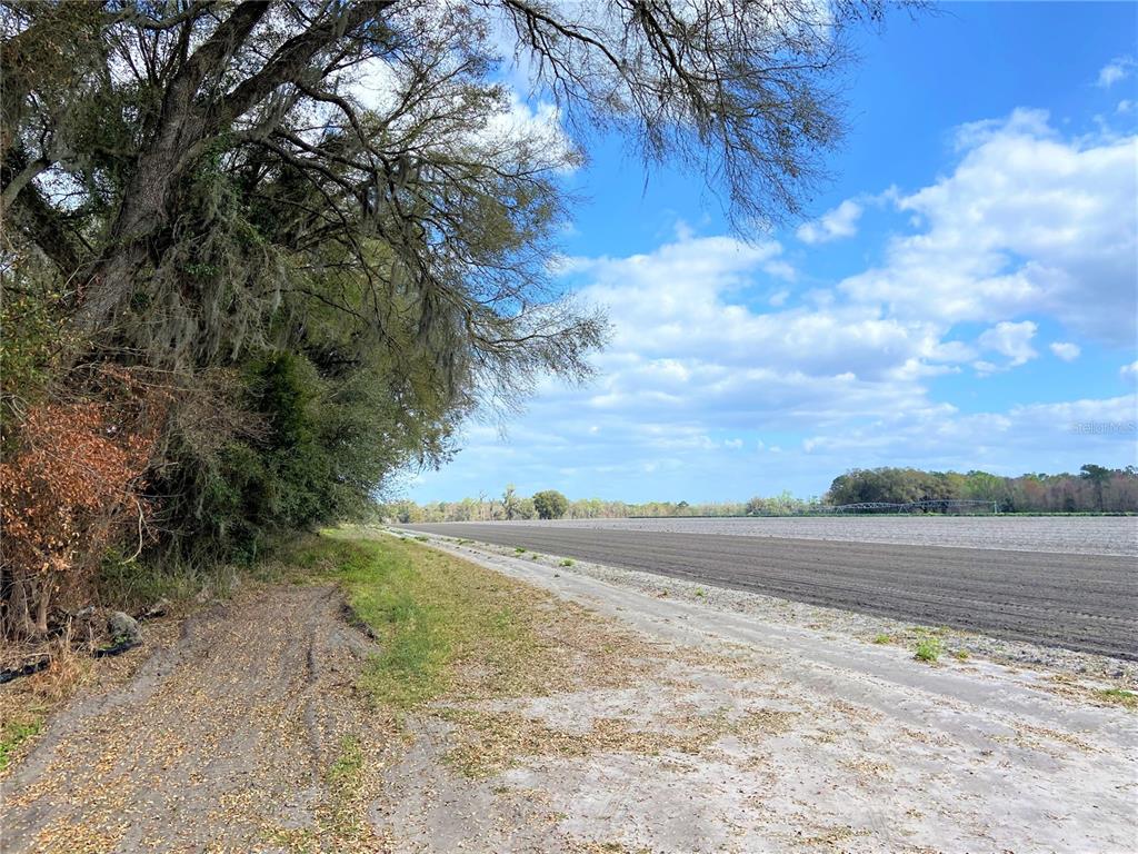 24103 Nw County Road 239 Property Photo 14