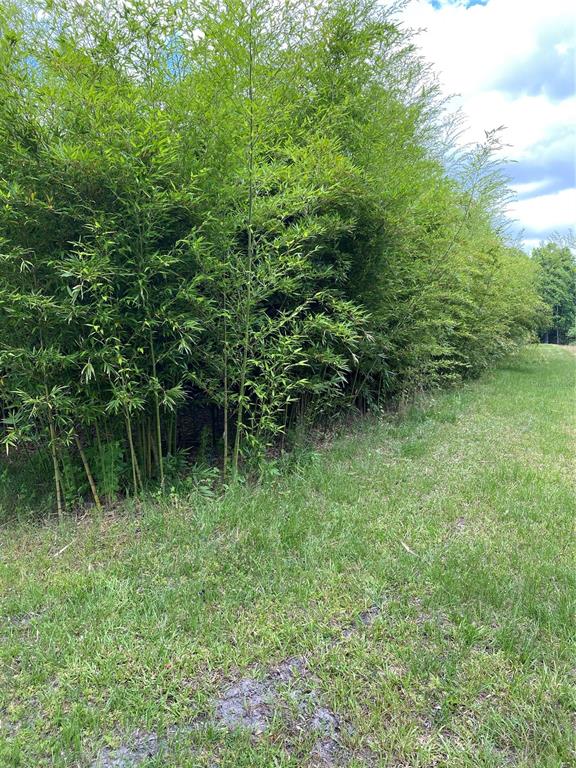 8910 E County Road 225 Property Photo 20