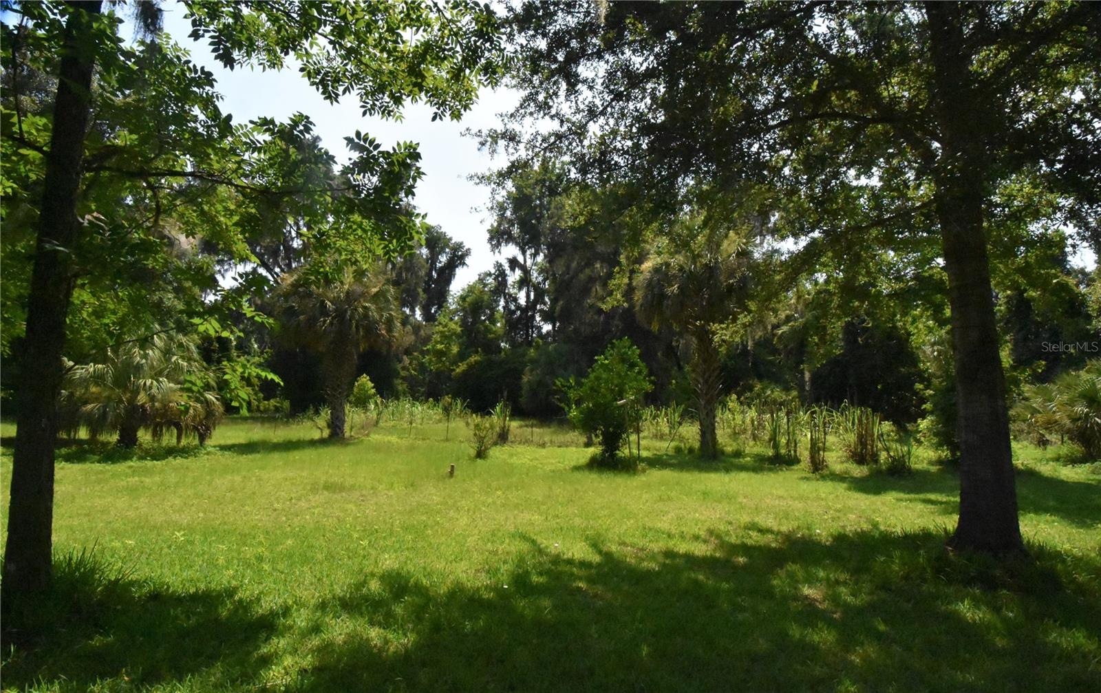 15208 Sw Williston Rd Property Photo 26