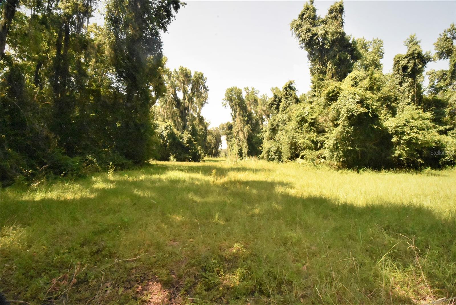 15208 Sw Williston Rd Property Photo 29