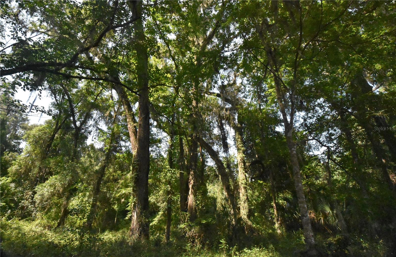 15208 Sw Williston Rd Property Photo 33