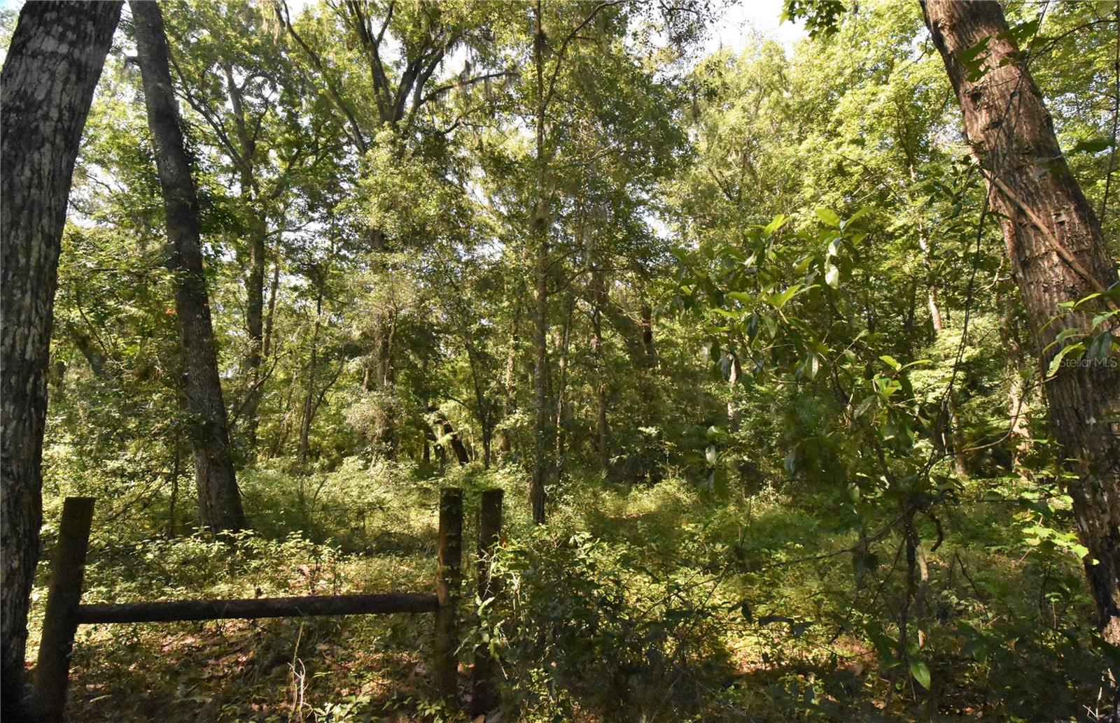 15208 Sw Williston Rd Property Photo 36