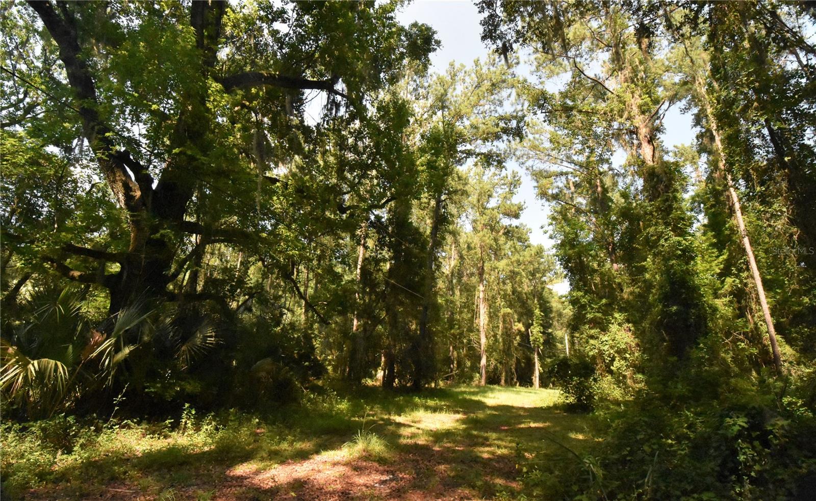 15208 Sw Williston Rd Property Photo 38