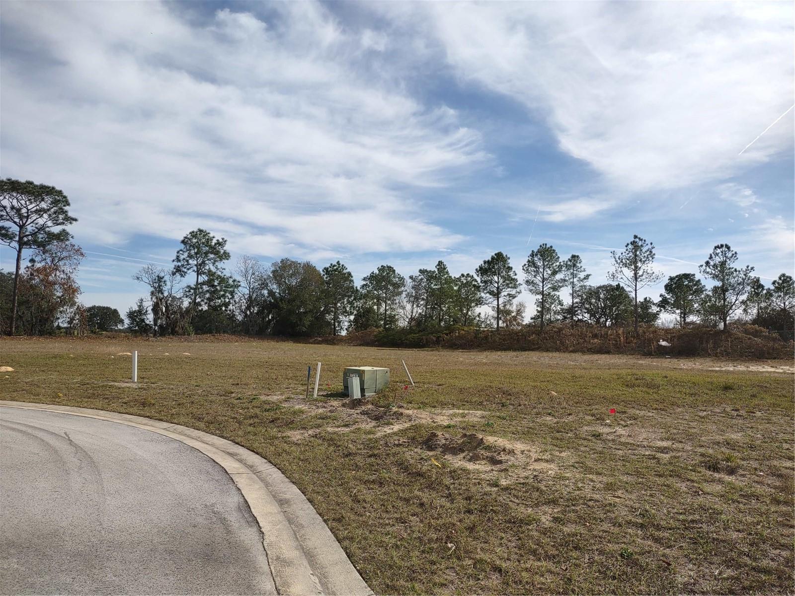 6400 Sw 180 Cir #lot 29 Property Photo 4