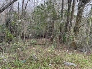 Unassigned State Road 24 Property Photo 7