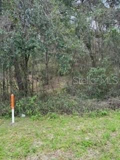 Unassigned State Road 24 Property Photo 8