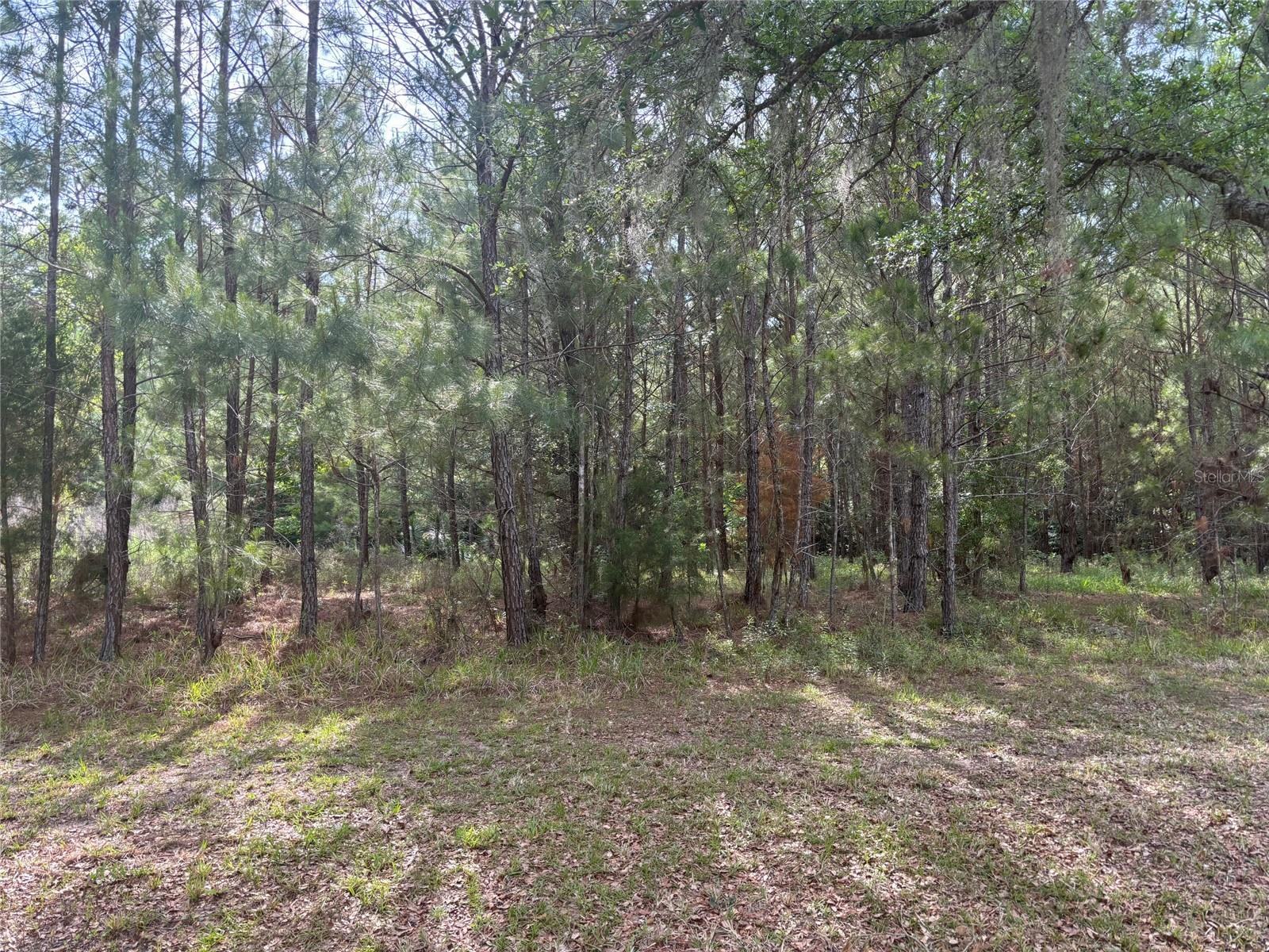 8845 Nw 58th Ln Property Photo 3